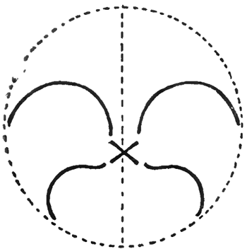 Step 4 How to Draw Pansies with Step by Step Pansy Drawing Tutorial