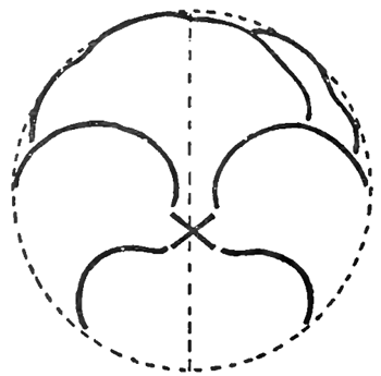 Step 5 How to Draw Pansies with Step by Step Pansy Drawing Tutorial