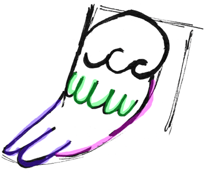 Step 7 in Drawing Parrots and Macaws Step by Step Lesson