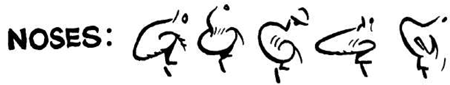 Different Types of Cartoon Noses