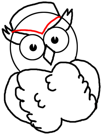 Step 8 How to Draw Owls with Easy Cartooning Lesson for Kids