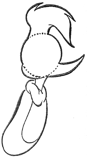 Step 8 Woody Woodpecker Step by Step Drawing Tutorial