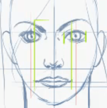 Proportions of the Female Face - line up the edge of the iris with the edge of the mouth