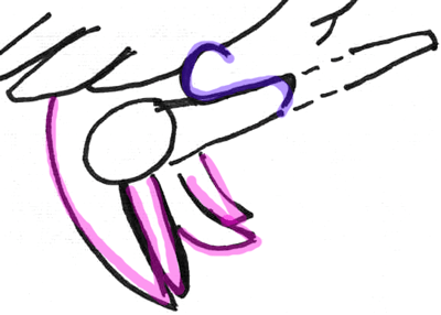 Step 9 in Drawing Parrots and Macaws Step by Step Lesson