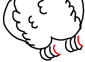 Step 13 Drawing Comic Cartoon Owls with Graduation Cap on