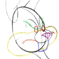 How to Draw Bunnys face
