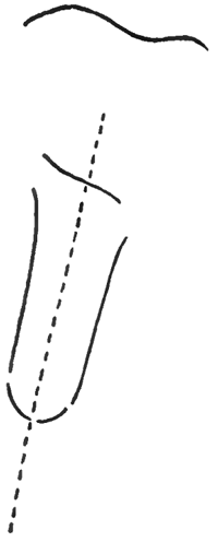 Step 1 Drawing Jack in the Pulpit Instructions