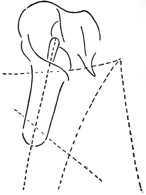 Step 3 Drawing Jack in the Pulpit Instructions