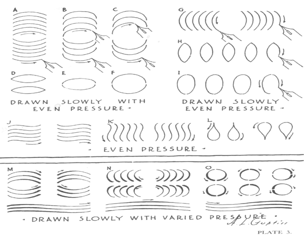 Drawing in Pen and Ink shows a few practical Curved lines exercises