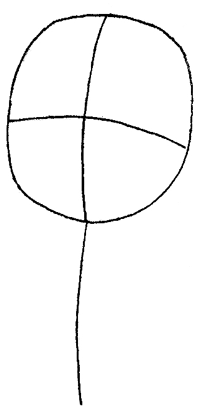 Step 1 Drawing Baljeet from Phineas and Ferb Tutorial