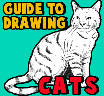 How to Draw Cats and Kittens with easy step by step drawing tutorial