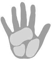 07-manga-anime-hands Drawing Hands - Manga and Anime Illustration Style