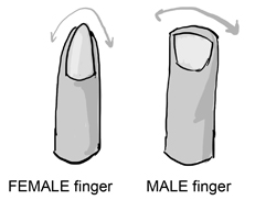 18-manga-anime-hands Differences between male and female fingers