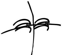 2 Step 2 : Drawing Adam Lyon with Step by Step Lesson for Kids