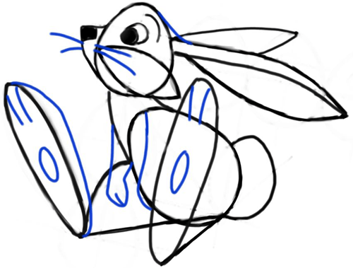 Step9 Step 9 : Drawing Cartoon Bunny Rabbit with Easy Steps