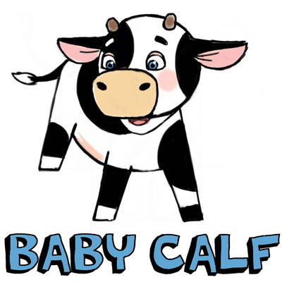 How to Draw Baby Cows ... aka Calf ... with Step by Step Drawing Tutorial