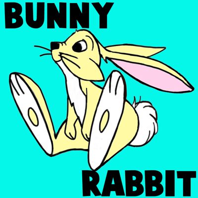 How to Draw Cartoon Bunny Rabbits and Hares with Simple Step by Step Drawing Lesson