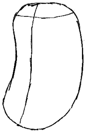 golbat-01 Step 1 : Drawing Golbat from Pokemon Drawing Lesson