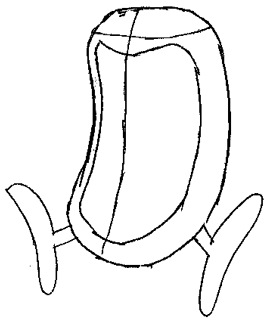 golbat-02 Step 2 : Drawing Golbat from Pokemon Drawing Lesson