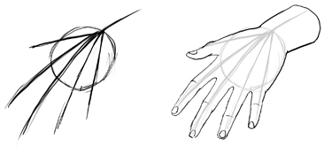 hands-group-4 How to Draw Hands and Fingers Step by Step Lesson