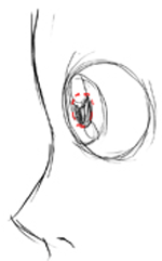 step3 Technique 1 : Step 3 : Anime / Mange Eyes from the Side