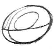 1 Step 1 : Drawing Cartoon Vultures Step by Step Lesson