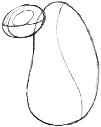 2 Step 2 : Drawing Cartoon Vultures Step by Step Lesson