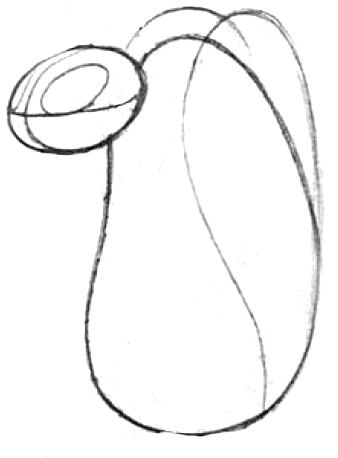 3 Step 3 : Drawing Cartoon Vultures Step by Step Lesson