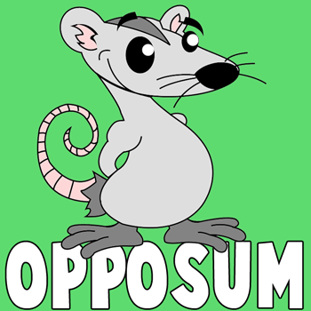 How to Draw Cartoon Opposum with Step by Step Drawing Tutorial