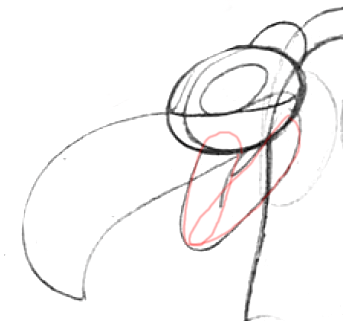 4 Step 4 : Drawing Cartoon Vultures Step by Step Lesson