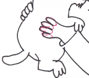 Step 6 : Drawing Helen and Martha Puppy Step by Step Tutorial