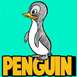How to Draw Cartoon Penguins in Simple Steps Lesson
