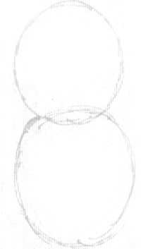 1 Step 1 : Drawing a Cartoon Beaver Step by Step Tutorial