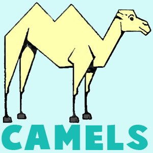 Drawing Camels with Easy Steps Instructional Lesson for Beginners