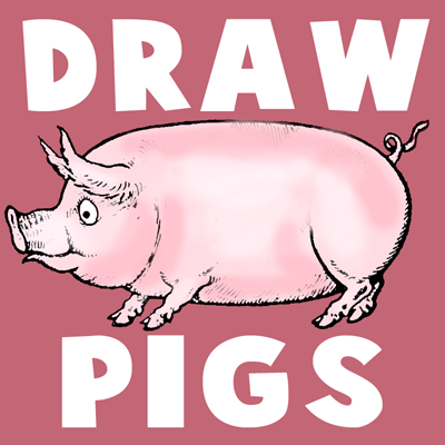 How to Draw Cartoon Hogs and Pigs in Simple to Follow Steps