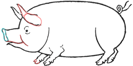 5 Drawing Pigs