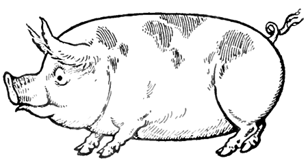 finished-pig-bw How to Draw Cartoon Hogs and Pigs in Simple to Follow Steps