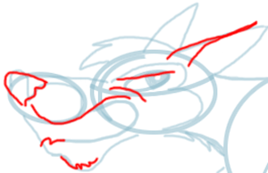 Step 10 : Drawing Cartoon Wolf Lesson Step 10 : Drawing Cartoon Wolf Lesson