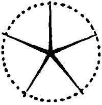 Step 2 : Drawing Starfish in Easy Steps Tutorial Step 2 : Drawing Starfish in Easy Steps Tutorial