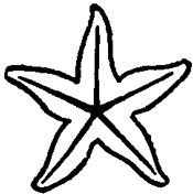 Step 3 : Drawing Starfish in Easy Steps Tutorial Step 3 : Drawing Starfish in Easy Steps Tutorial