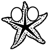 Step 5 : Drawing Starfish in Easy Steps Tutorial Step 5 : Drawing Starfish in Easy Steps Tutorial