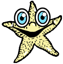 Step 8 : Drawing Starfish in Easy Steps Tutorial Step 8 : Drawing Starfish in Easy Steps Tutorial