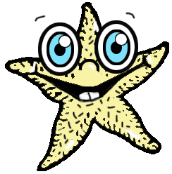How to Draw Cartoon Star Fish in Easy Step by Step Drawing Lesson How to Draw Cartoon Star Fish in Easy Step by Step Drawing Lesson