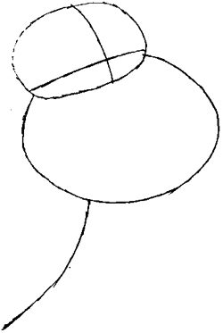 Step 1 : Drawing Glenn Quagmire Step by Step Lesson Step 1 : Drawing Glenn Quagmire Step by Step Lesson