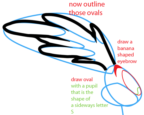 Step 5 : Drawing Road Runner from Looney Tunes Easy Steps Lesson Step 5 : Drawing Road Runner from Looney Tunes Easy Steps Lesson