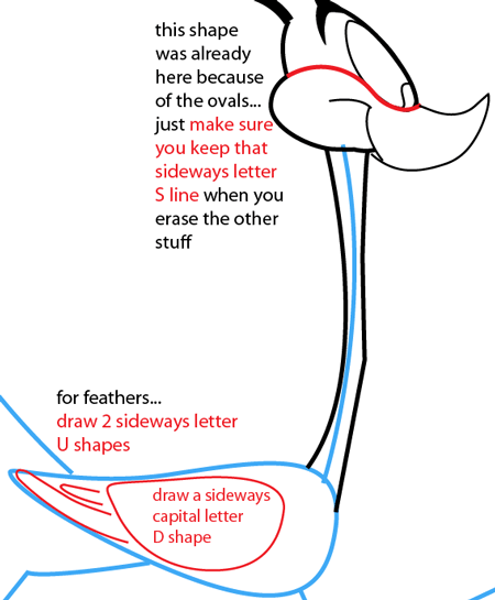 Step 7 : Drawing Road Runner from Looney Tunes Easy Steps Lesson Step 7 : Drawing Road Runner from Looney Tunes Easy Steps Lesson