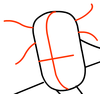 Step 4 : Drawing Stinkfly from Ben 10 Easy Steps Lesson Step 4 : Drawing Stinkfly from Ben 10 Easy Steps Lesson