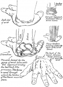 Techniques for Drawing Hands