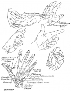 Examples of Hands Folded, Pointing Finger and Closed Fists