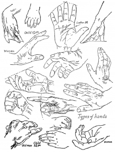Drawing Hands in DIfferent Positions